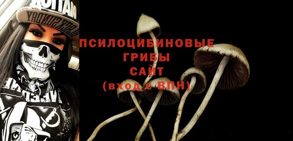 дурь Каменногорск