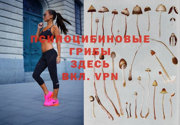 каннабис Каменка