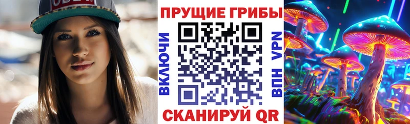 Галлюциногенные грибы Psilocybe  Купить где  Вуктыл 
